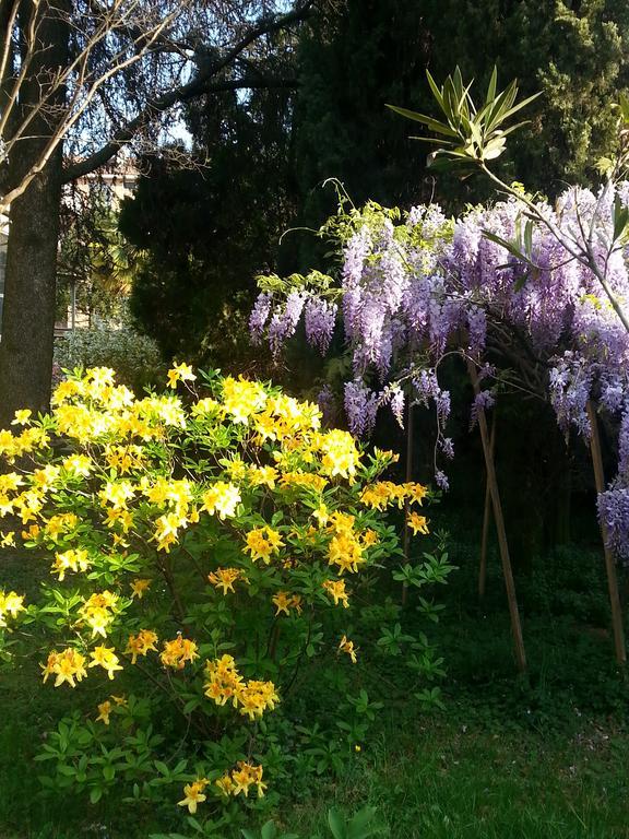 B&B Gloria Gallarate Exterior foto