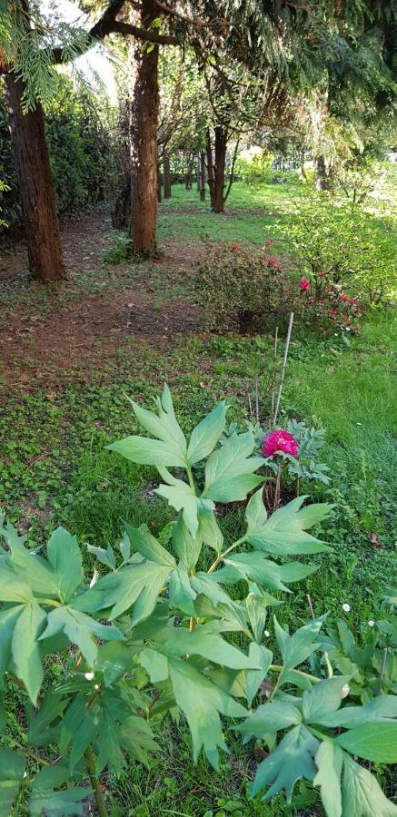 B&B Gloria Gallarate Exterior foto